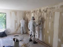 Best Biohazard Mold Removal  in Barron, WI